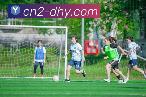 大红鹰DHY官网发展历程